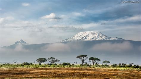 kilimanjaro national park  northern tanzania africantourer