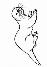 Otter Coloring Pages Nosed Hairy Printable Drawing Print Momjunction Categories Game Baby Books Similar sketch template