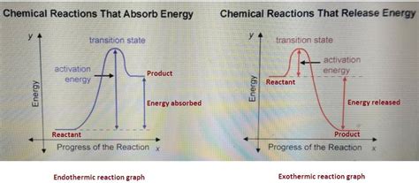 identify  parts   energy diagrams brainlycom