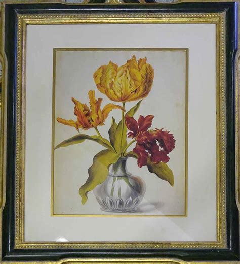 floral colour lithographs  set    trowbridge gallery cm  cm