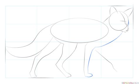 draw  red fox step  step drawing tutorials