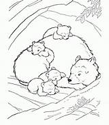 Coloring Bear Pages Animals Sleeping Hibernating Little Kids Animal Big Tundra Wild Den Brown Drawing Woods Color Smokey House Printable sketch template