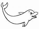 Golfinho Dolphin Colorir Tudodesenhos Imagens sketch template