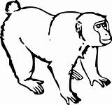 Monkey Coloring Clipart Book Line Clipartbest sketch template