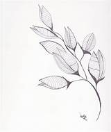 Organic Shapes Drawing Nature Resume Simple Getdrawings sketch template