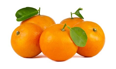 manfaat buah jeruk kaya kandungan vitamin  fakultas pertanian