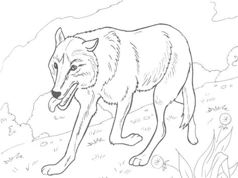 wolf pack coloring pages mcoloring wolf coloring pages wolf