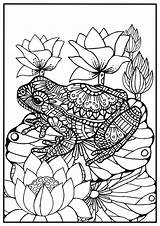 Frog Mandala Frogs Zentangle Vuxna Målarbild Groda Mindfulness Ausmalen Doodle Frosch Färglägg Erwachsene Vackra sketch template