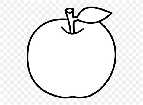 apple drawing coloring book fruit food png xpx apple area