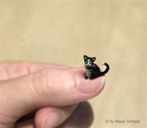 ooak  tiny micro cat dollhouse kitten handmade ebay polymer clay cat doll house