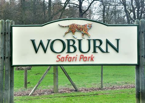 woburn safari park flickr photo sharing