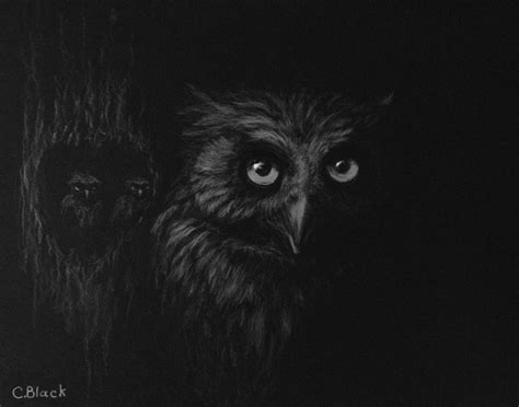owl   dark owl illustration wise owl image types google images