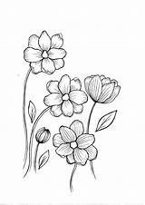 Wildflower Zoomen Klik sketch template