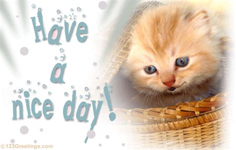 nice day    great day ecards greeting cards