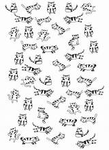 Coloring Cats Little Cat Pages Drawing Kids Simple Color Cute Children Adult Justcolor sketch template