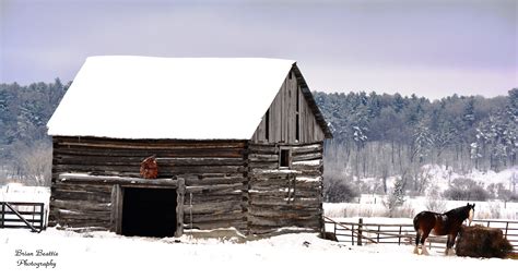 log barn  horse  west carleton ontario house styles barn