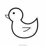 Pato Duck Colorare Anatra Ultracoloringpages Ducky Iconfinder sketch template
