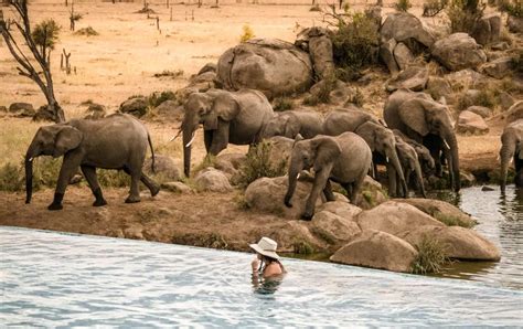 serengeti national park africa destination micato safaris
