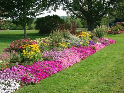 meditative gardener simplify  flowerbed