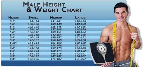 ideal weight chart  men based   height