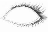 Eyelashes sketch template