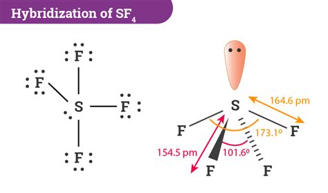 hybridization  sf sulfur tetrafluoride detailed explanation