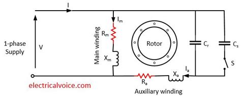 single phase motor wiring diagram  capacitor start capacitor run wiring diagram  schematics