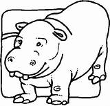 Hippopotamus Pygmy Coloring sketch template