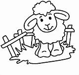 Coloring Lamb Pages Baby Coloringbay sketch template