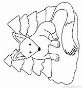 Fox Fuchs Zorro Vossen Ausmalbilder Colorat Coloriage Malvorlagen Vulpe Renard Pintar Colorare Foxes Fuchse Ausmalbild Bild Imagini Mewarnai Arctic Dieren sketch template