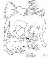 Wolf Coloring Cub Pages Mother Coloriage Printable Louveteau Howling Et Louve Moon Woodland Animals Print Colouring Color Drawing Baby Getcolorings sketch template