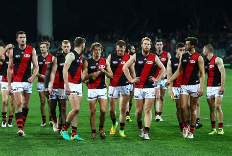 bombers disastrous year ends  massive financial loss aflcomau