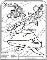 Coloring Pages Shark Goblin Sharks Dover Publications Ocean Book Thresher Doverpublications Color Welcome Sheets Frilled Printable Getdrawings Kids Getcolorings Template sketch template