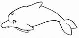 Kolorowanki Delfiny Zwierzęta Kolorowania sketch template