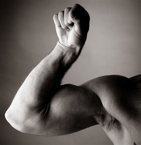 biceps gimnasio