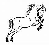 Disegni Colorare Cavallo Cavalli Animali Saltando Caballo Bambini Cavalo Horse Colorir Salta Puledro Acolore Saltar Caballos Stallone Dibujode Imagui Cavall sketch template