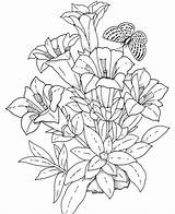 Coloring Pages Detailed Flower sketch template