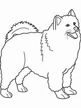 Dog Scottie Coloring Getdrawings Drawing sketch template