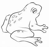 Coloring Frog Template Print Printable Pages Frogs Templates Cycle Clipart Drawings Drawing Life Poison Cliparts Dart Color Animated Cute Sheet sketch template