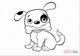 Puppy Coloring Pages Dog Drawing Cute Puppies Poo Kids Easy Cartoon Anime Pitbull Yorkie Baby Drawings Pomeranian Colouring Simple Line sketch template