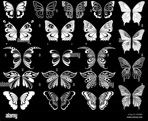 set  twenty white ornamental stencils  beautiful butterflies