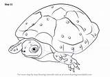 Turtles Improvements sketch template
