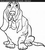 Hound Dog Coloring Drawing Basset Cartoon Getdrawings Drawings sketch template