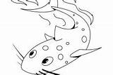 Catfish Coloring Pages sketch template