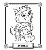 Colorir Everest Desenhos Canina Patrulha Visitar sketch template