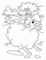 Coloring Sheep Pages Lost Parable Shipping Style Kids Book Comments Library Clipart Coloringhome sketch template