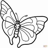 Kolorowanki Butterflies Motyl Kolorowanka Druku Dzieci sketch template