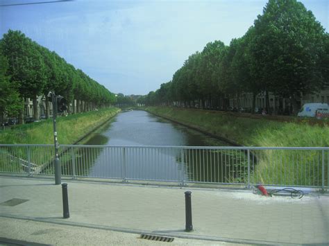 rozemarijn brug gent