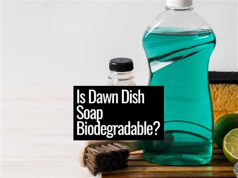 dawn dish soap biodegradable  sustainable living guide