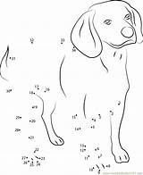 Dog Connect Dots Dot Worksheet Beagle Kids Purebred English Animals Printable Email Connectthedots101 sketch template